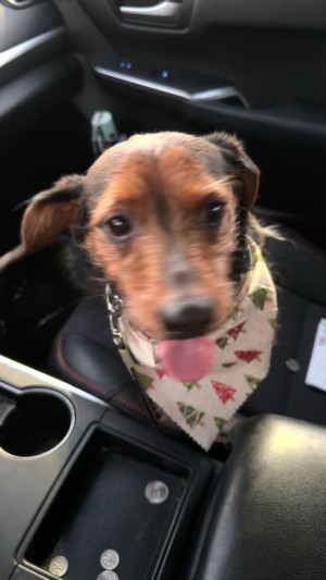 Photo of Bingo
