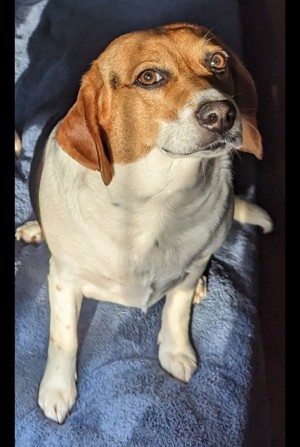 Photo of Lexy
