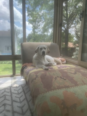 Photo of Deke