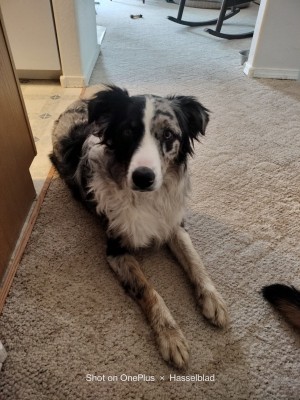 Photo of Teddy