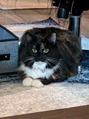 Photo of Calabash