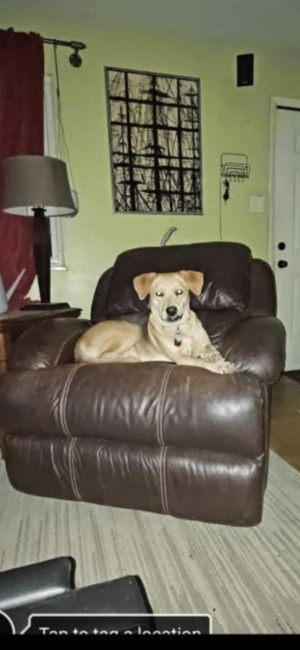 Photo of Butter