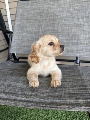 Photo of Jilly