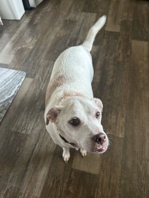 Photo of Teddy