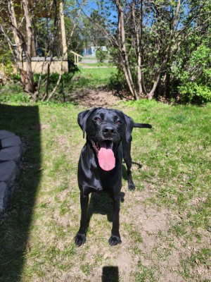 Photo of Mildred (Millie)