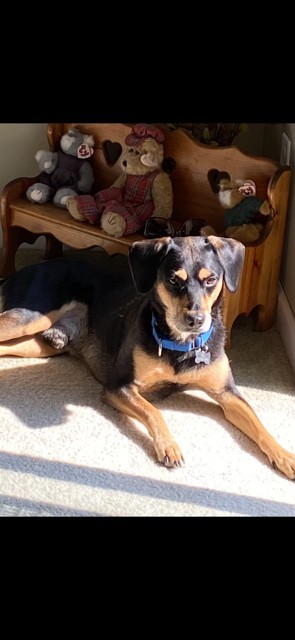 Photo of Gryff