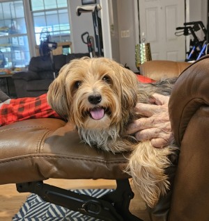 Photo of Buddy Jack