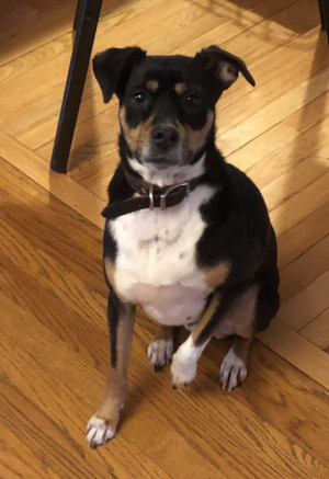 Photo of Gambit