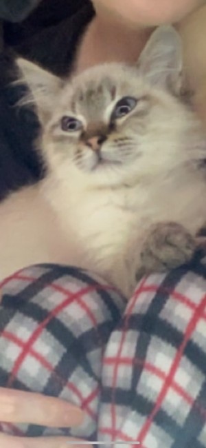 Photo of Nora