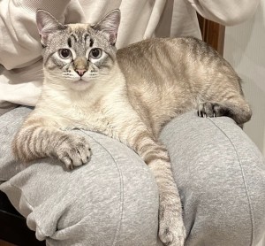 Photo of Derp