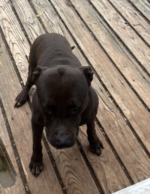 Photo of Jake
