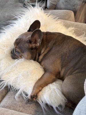 Photo of Gus