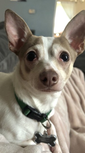 Photo of Howie