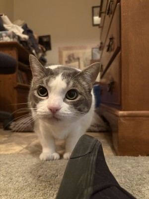 Photo of Tina