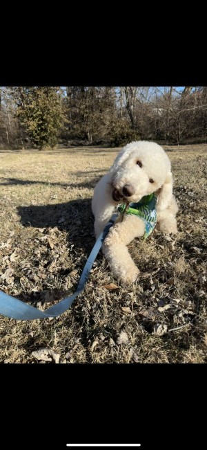 Photo of Ares