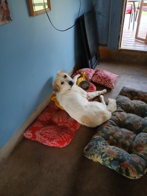 Photo of Obie