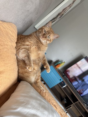 Photo of Charly