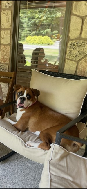 Photo of Cora