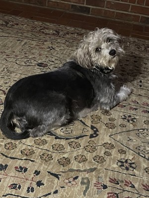 Photo of Maggie