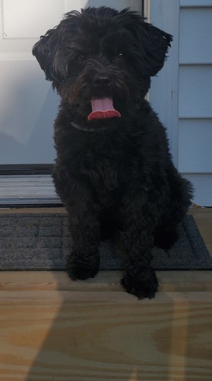 Photo of Lucy