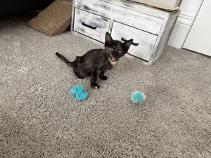 Photo of Bonnie