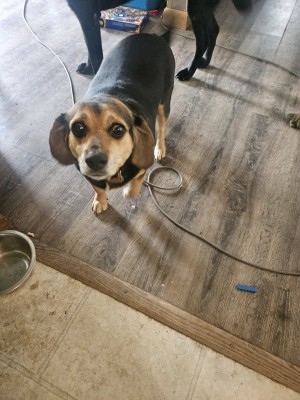 Photo of Xena