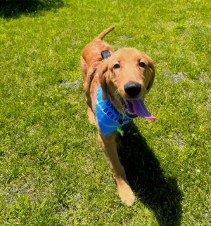 Photo of MAX