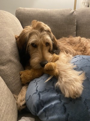 Photo of Sage