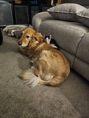 Photo of Ajax