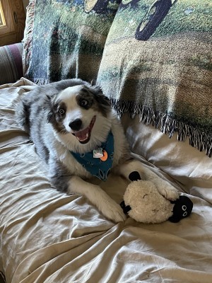 Photo of Blue