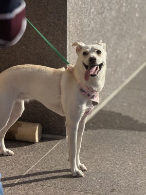 Photo of Winnie