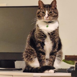 Photo of Chance
