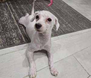 Photo of NYLA