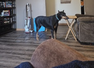 Photo of Athena