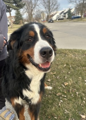 Photo of Winston