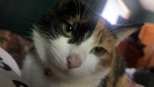 Photo of Cecilia