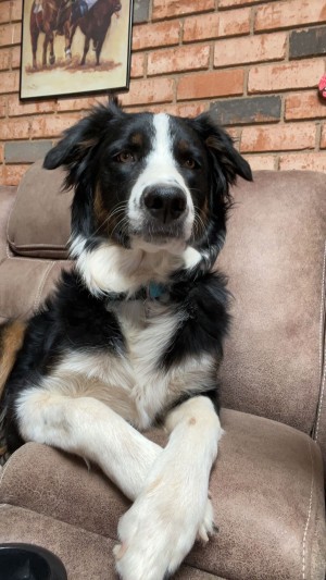Photo of Blue