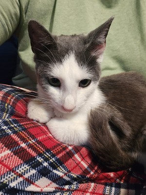 Photo of Roger