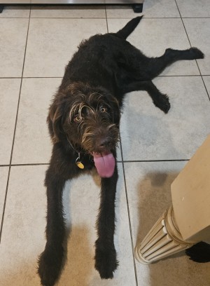 Photo of Zax