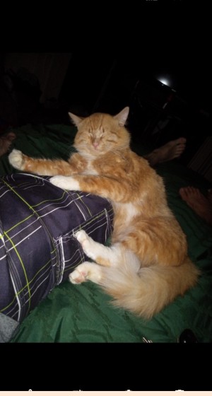Photo of Oliver