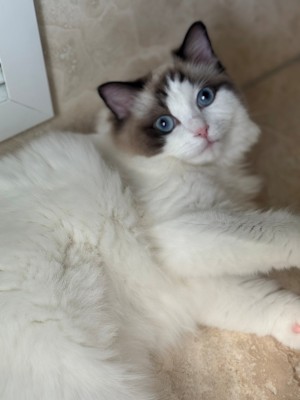 Photo of Chloe