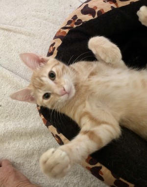 Photo of Simon