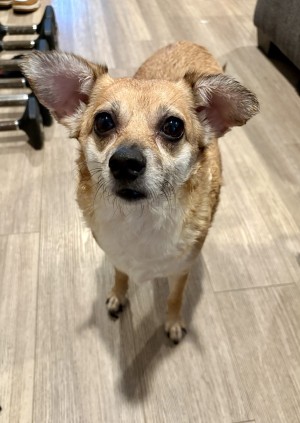 Photo of Gloria
