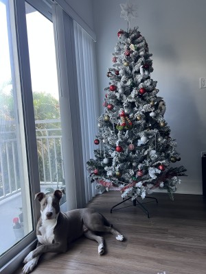 Photo of Goliath