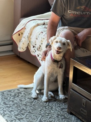 Photo of Molly