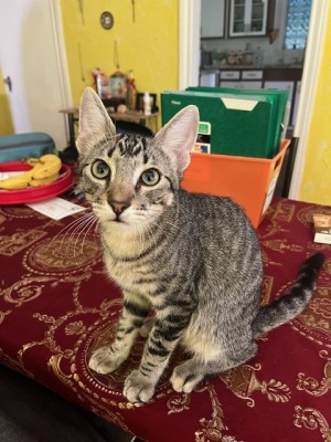 Photo of Alvin