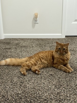Photo of Spike