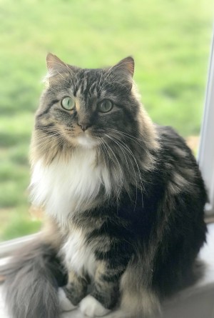 Photo of Beesly