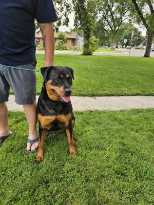 Photo of Lola