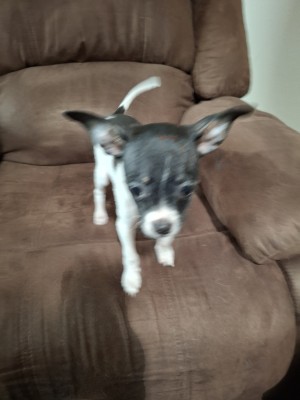 Photo of Lulie